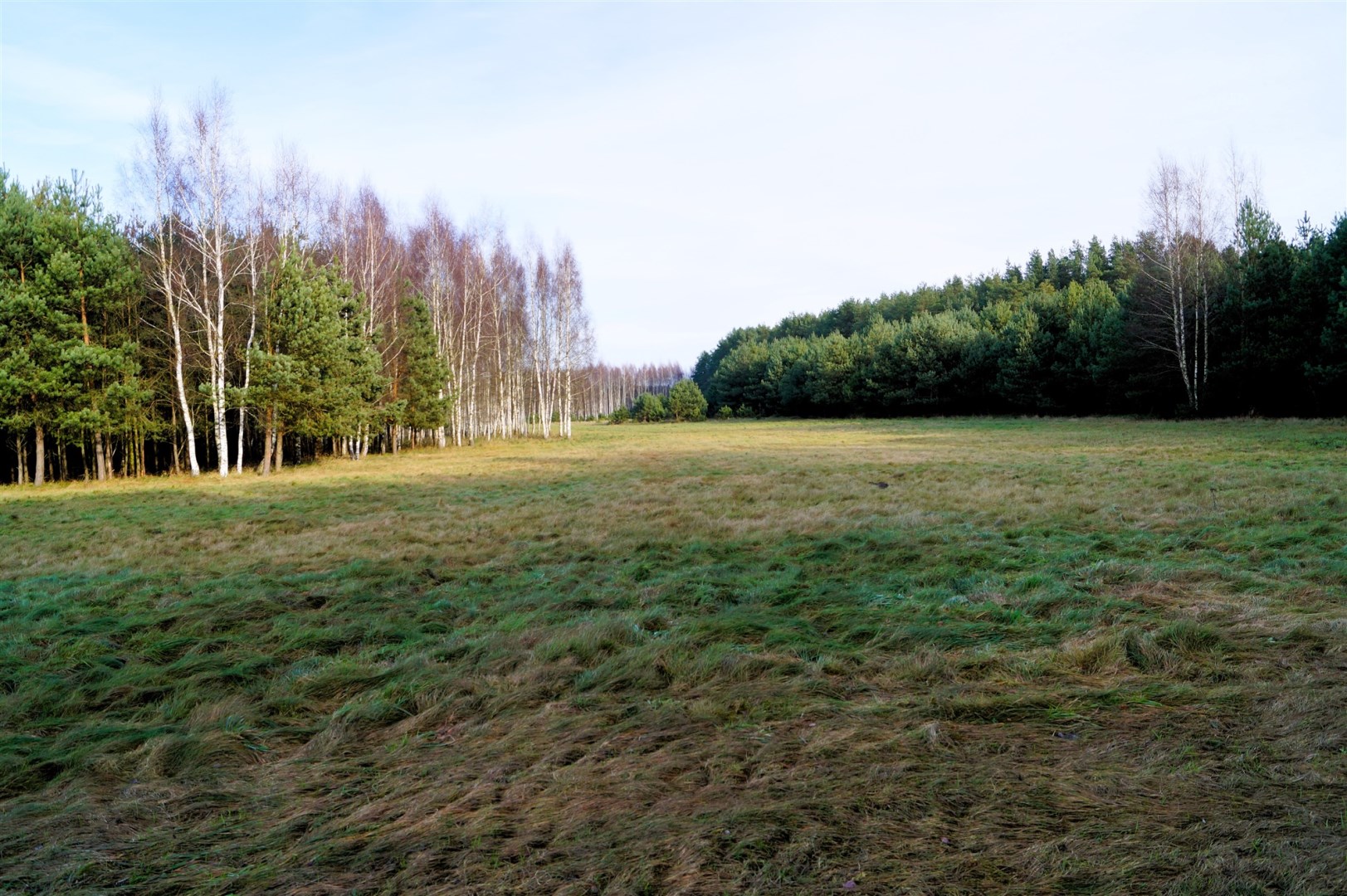 Działka