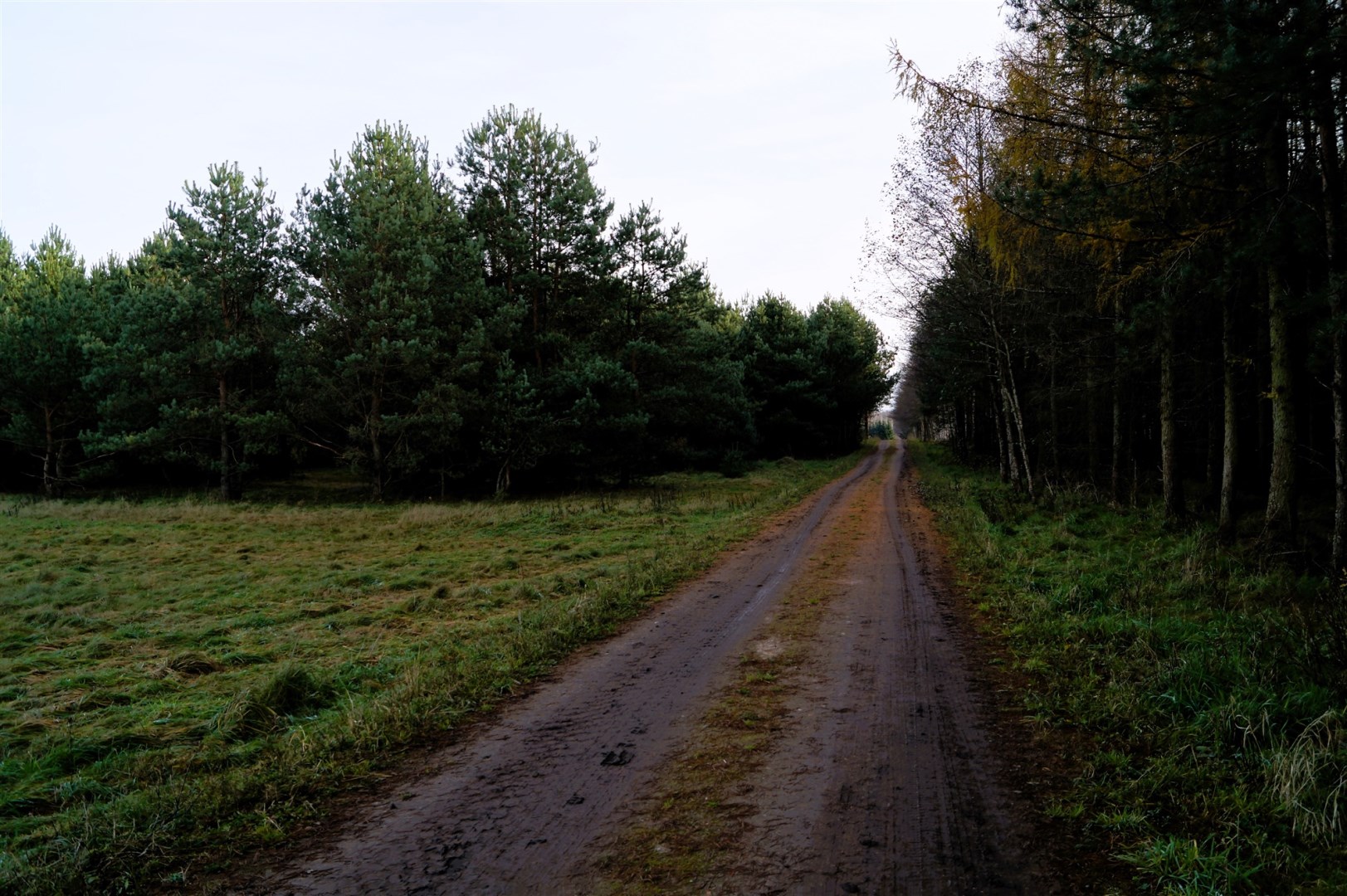 Działka
