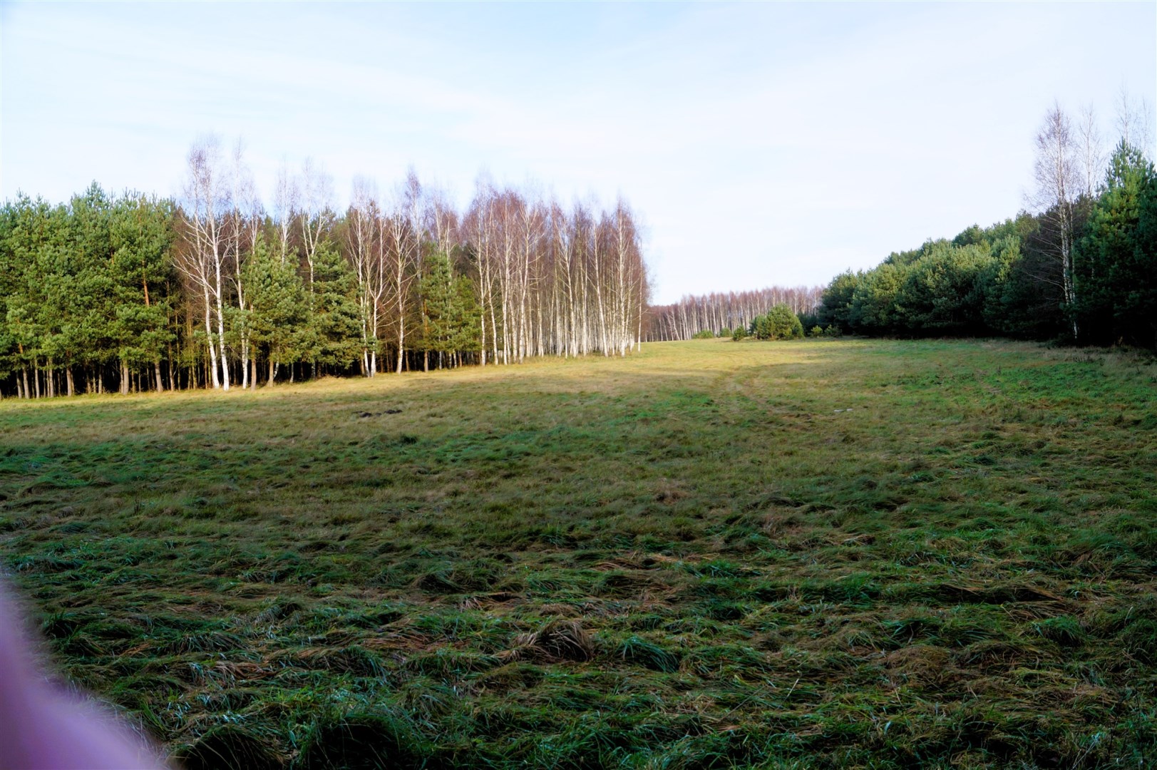 Działka