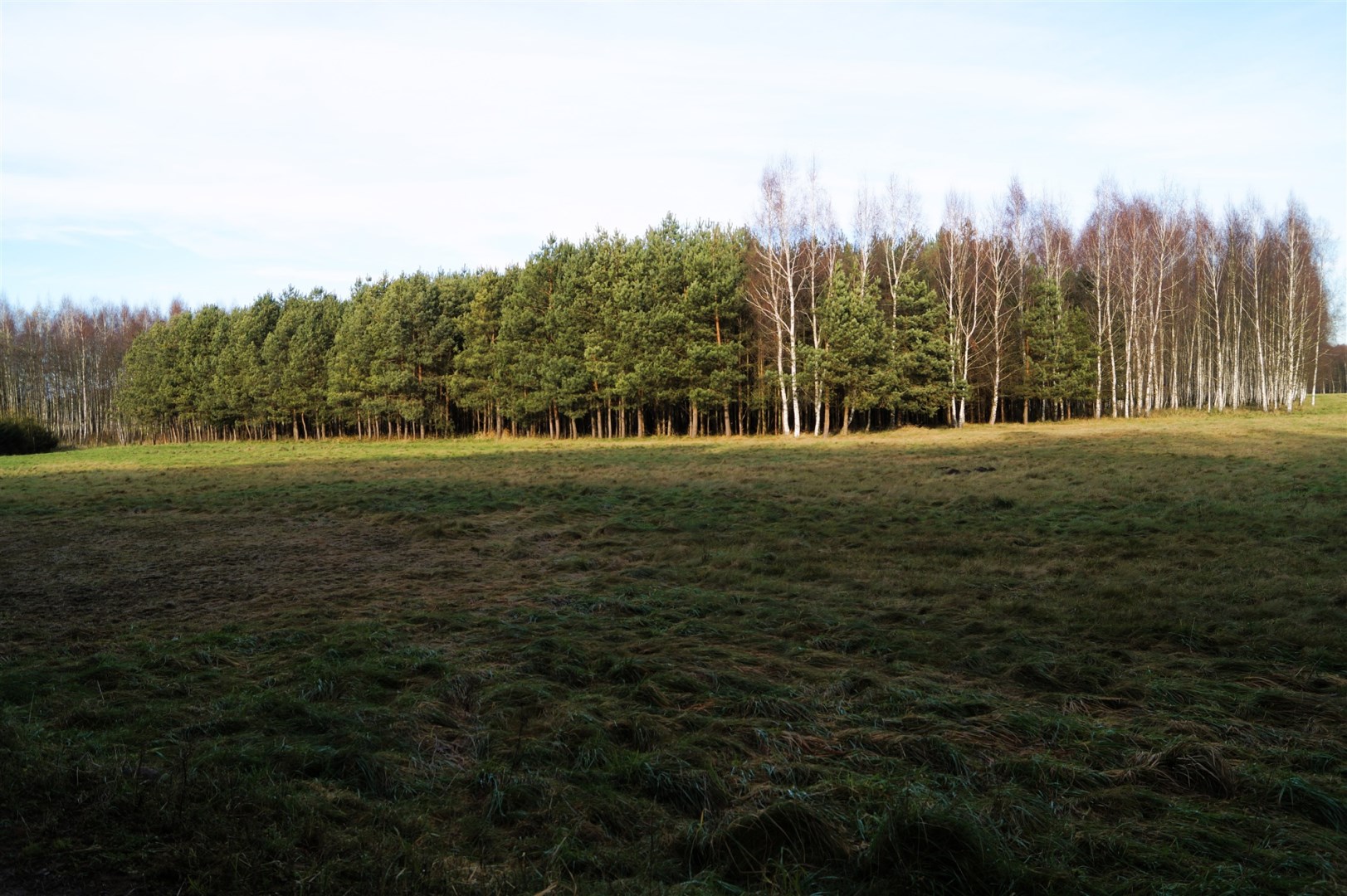 Działka