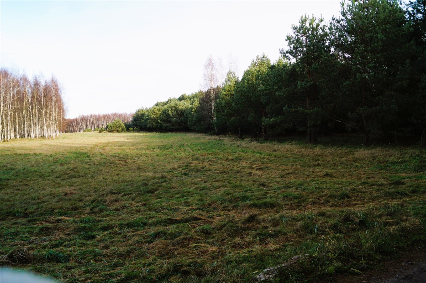 Działka