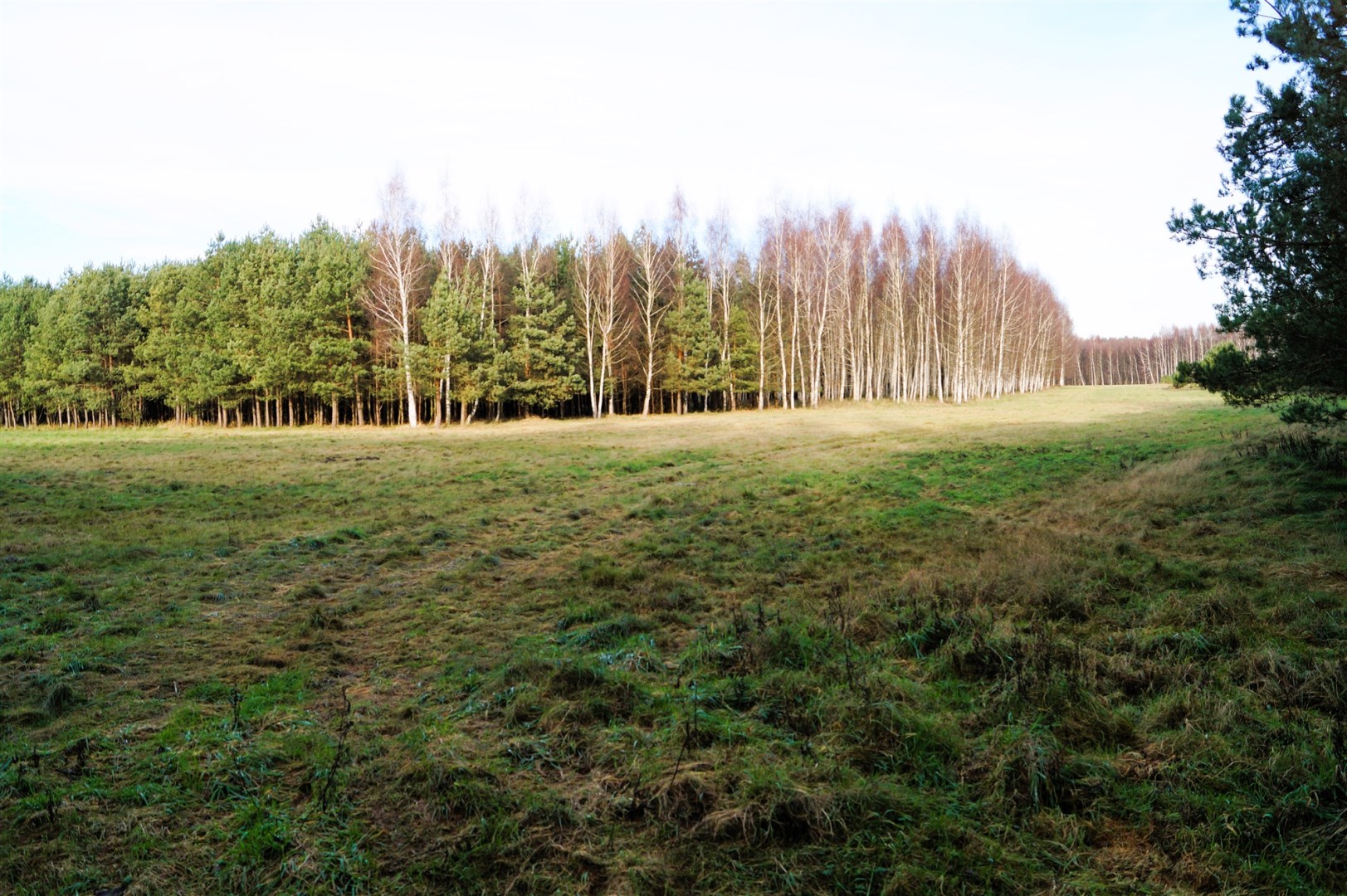 Działka