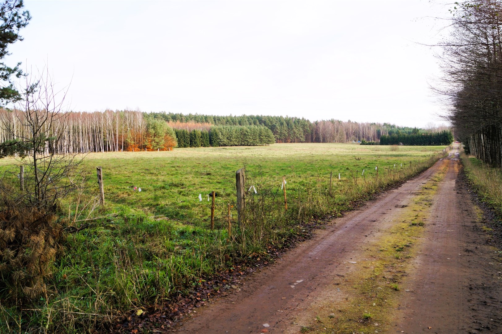 Działka