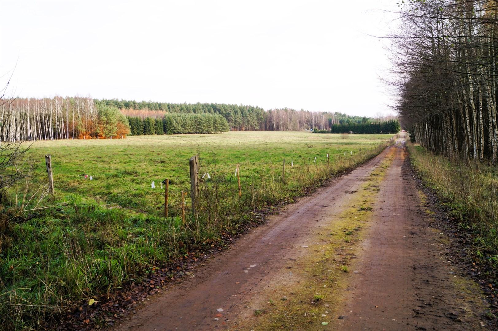 Działka