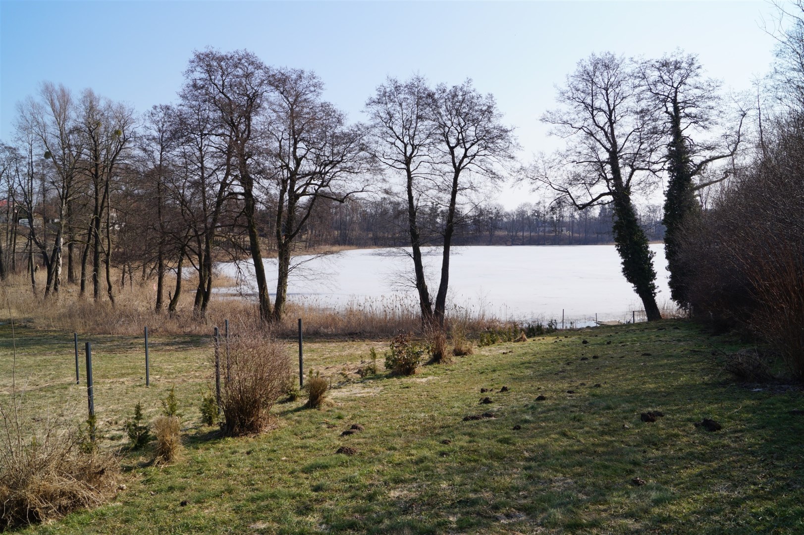 Działka