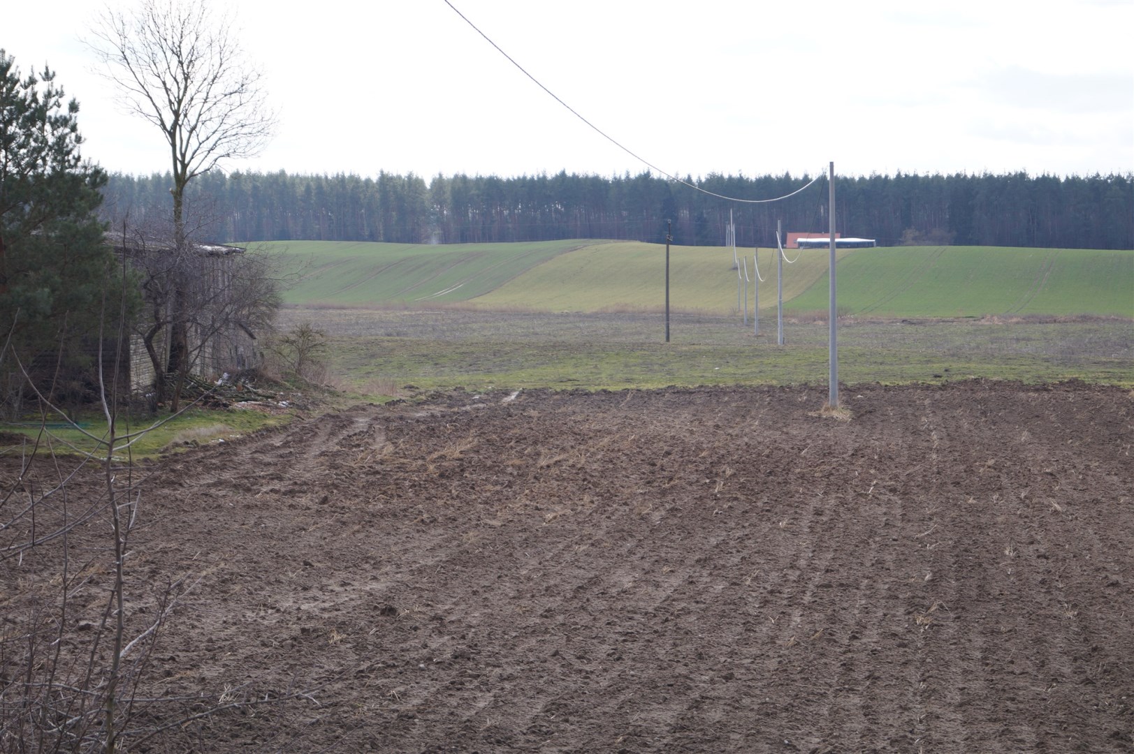Działka