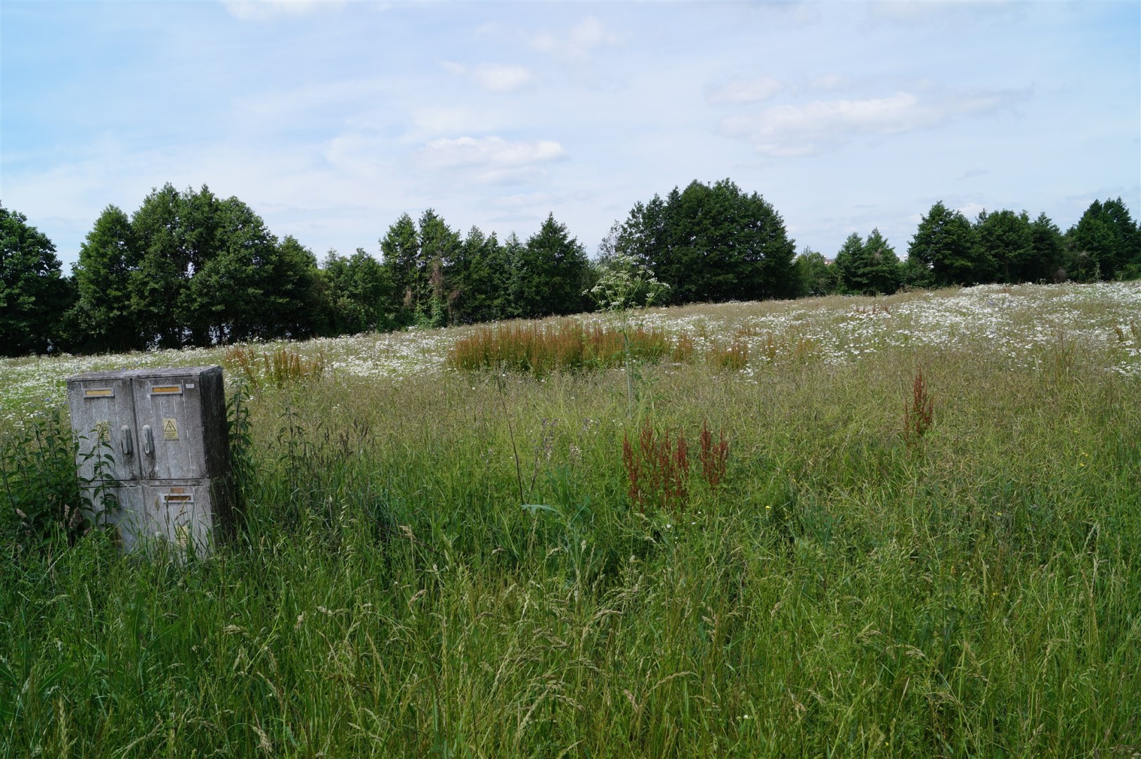 Działka