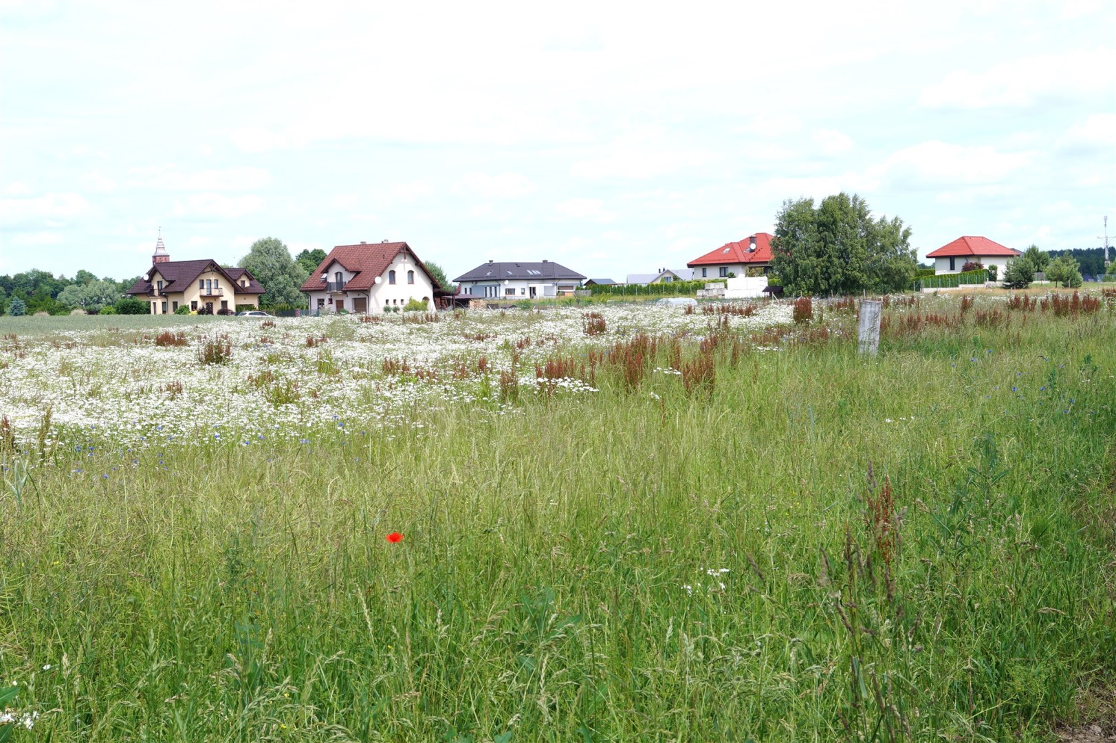 Działka