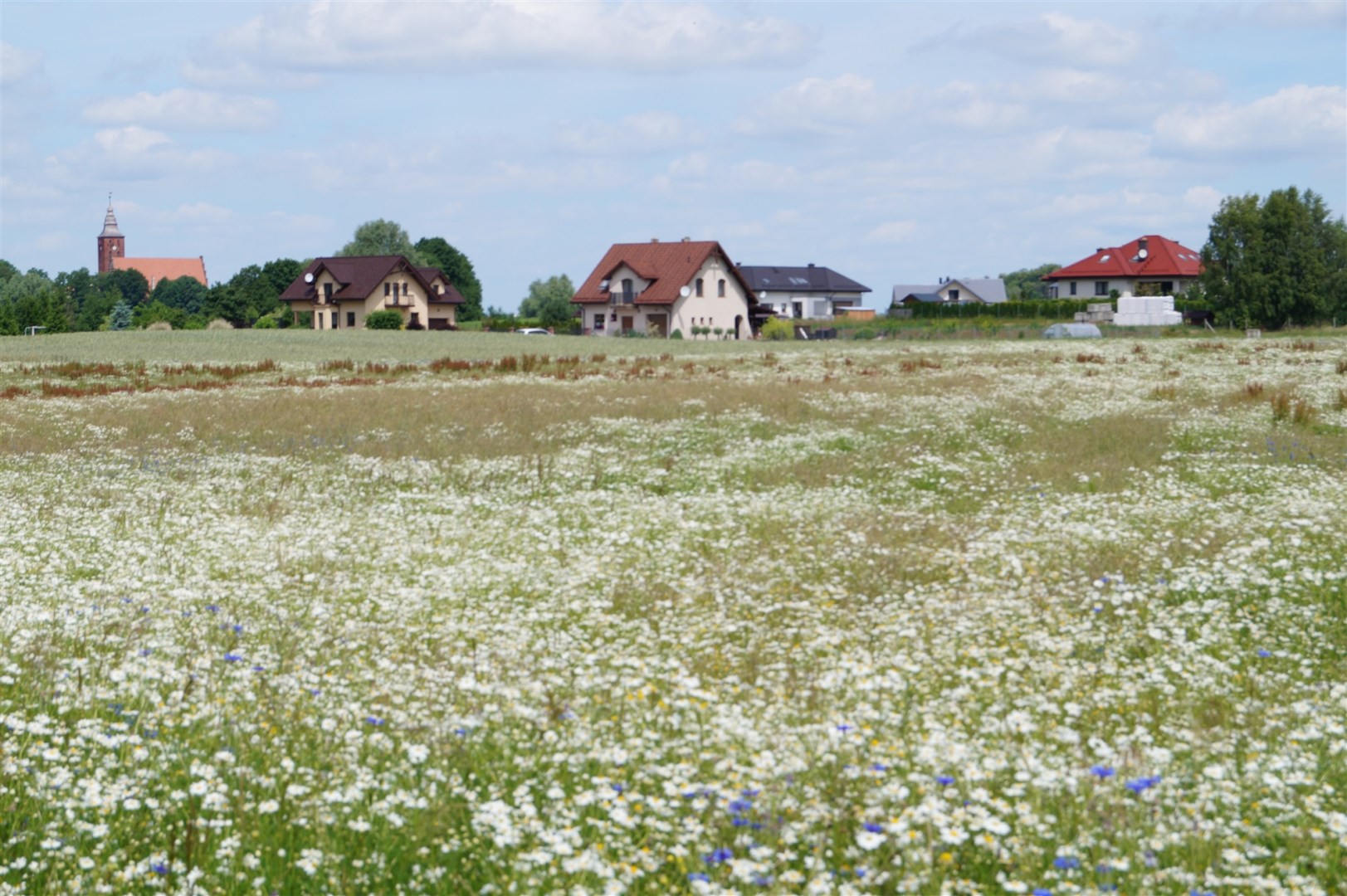 Działka