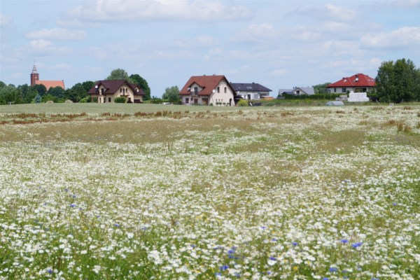 Działka