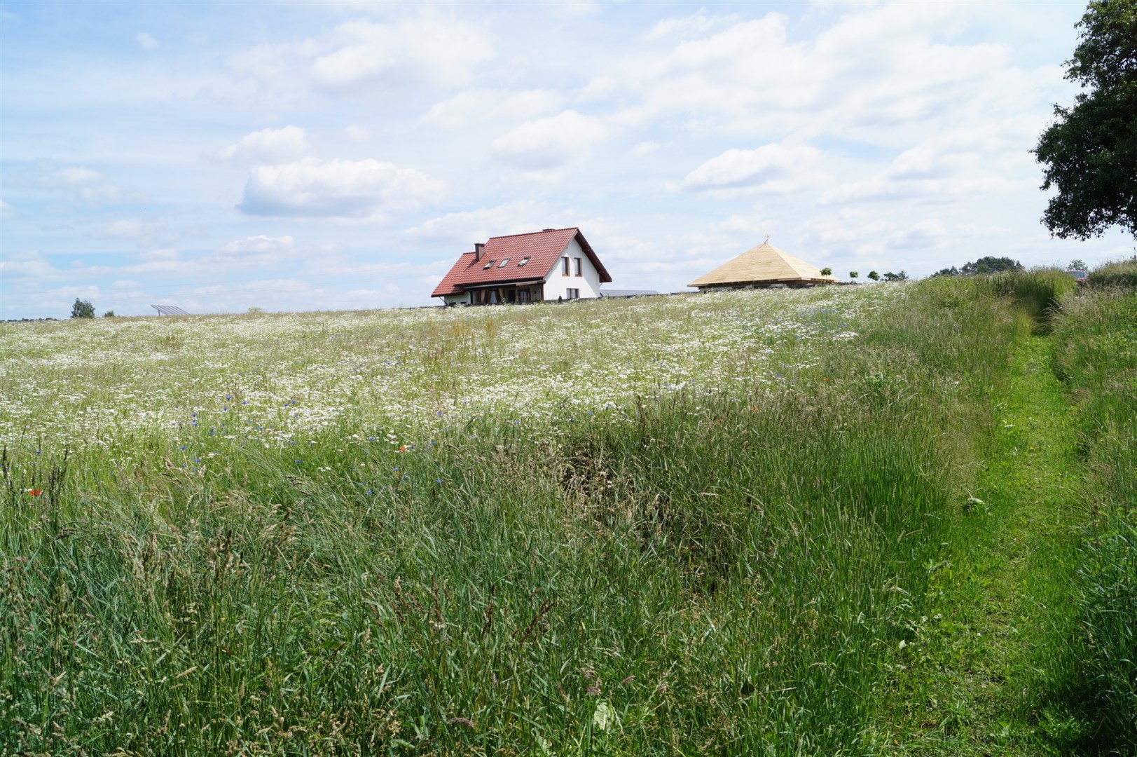 Działka