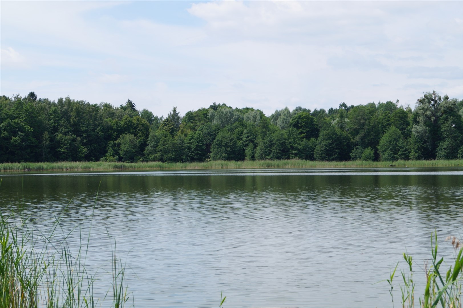 Działka