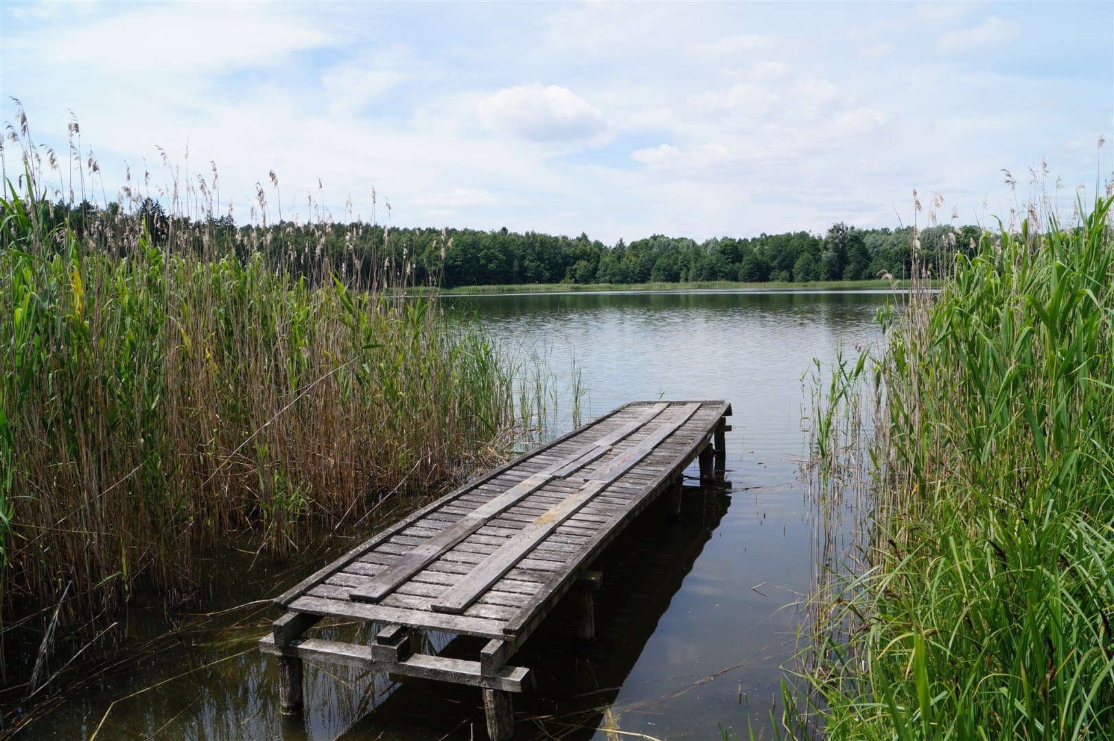 Działka