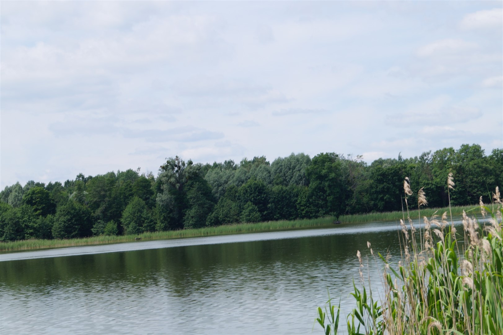 Działka