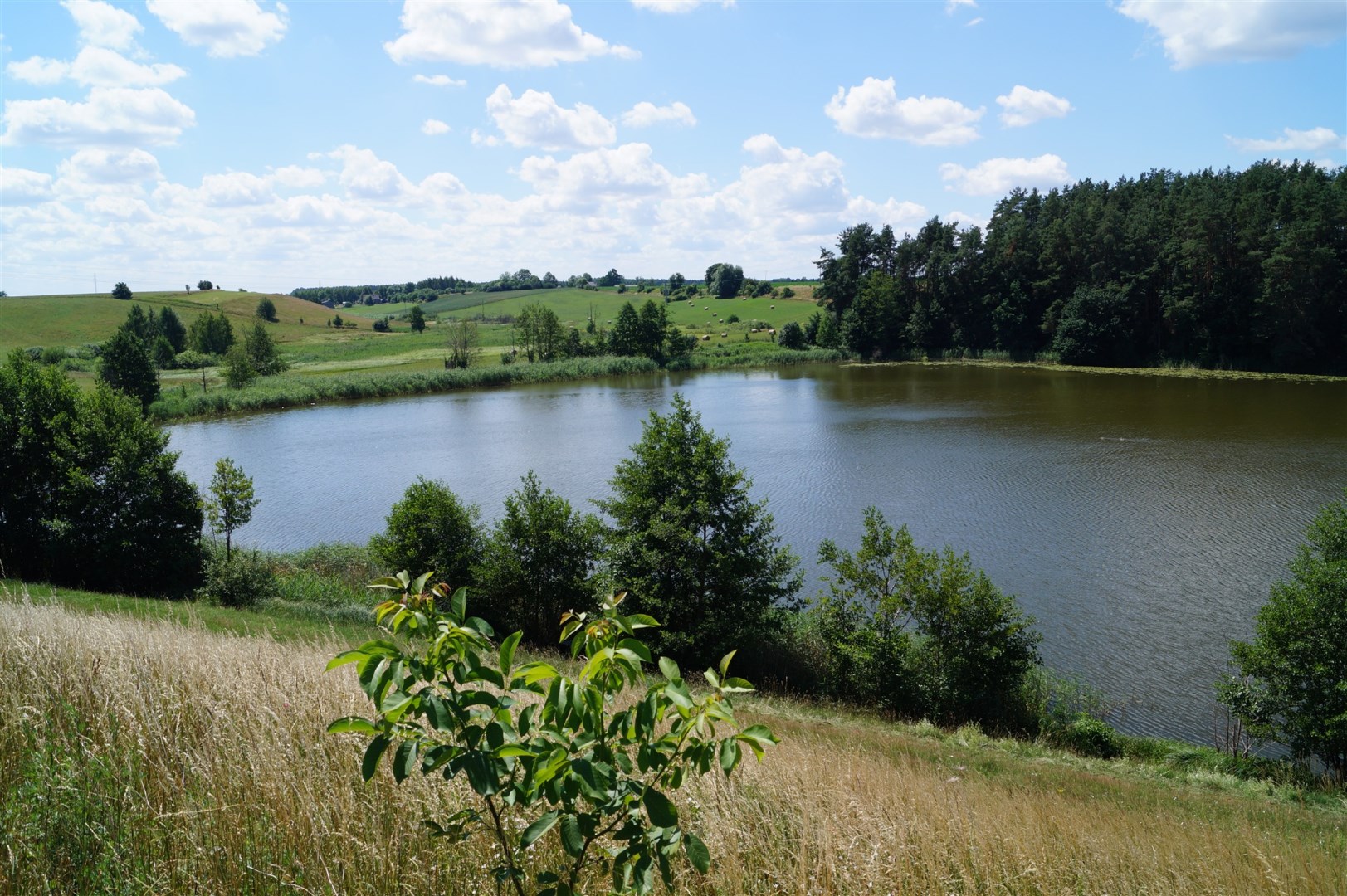 Działka