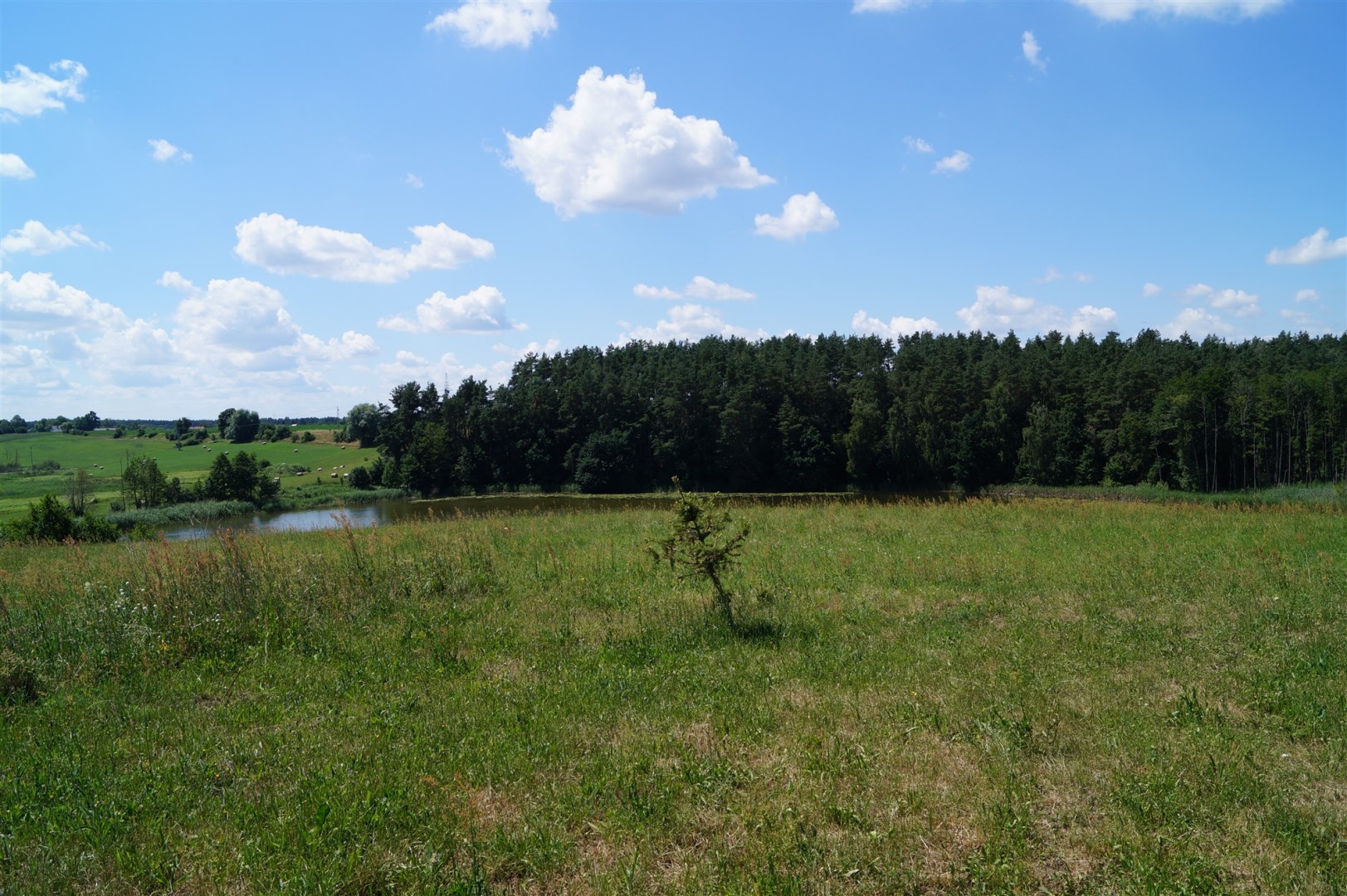 Działka