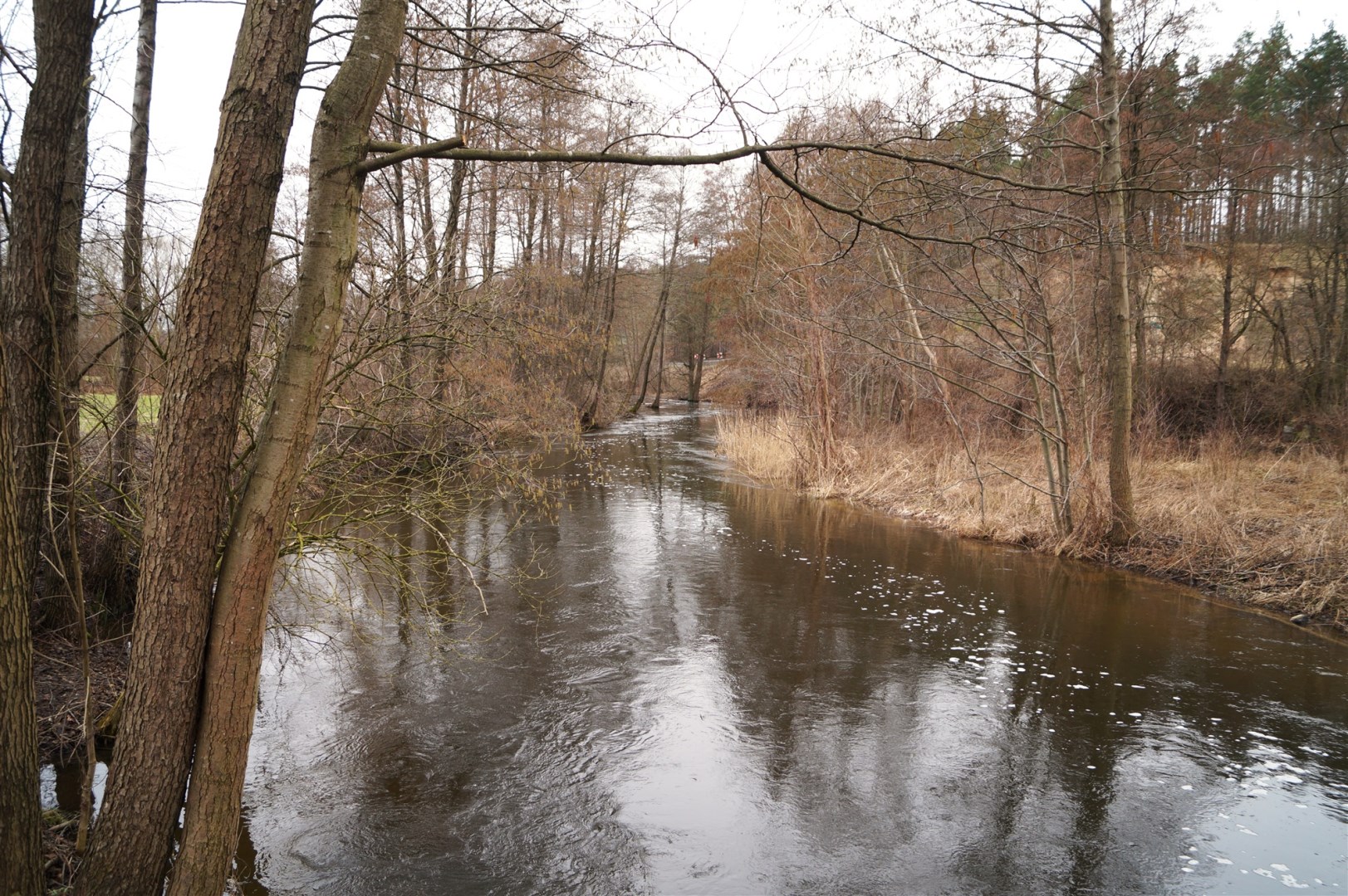 Działka