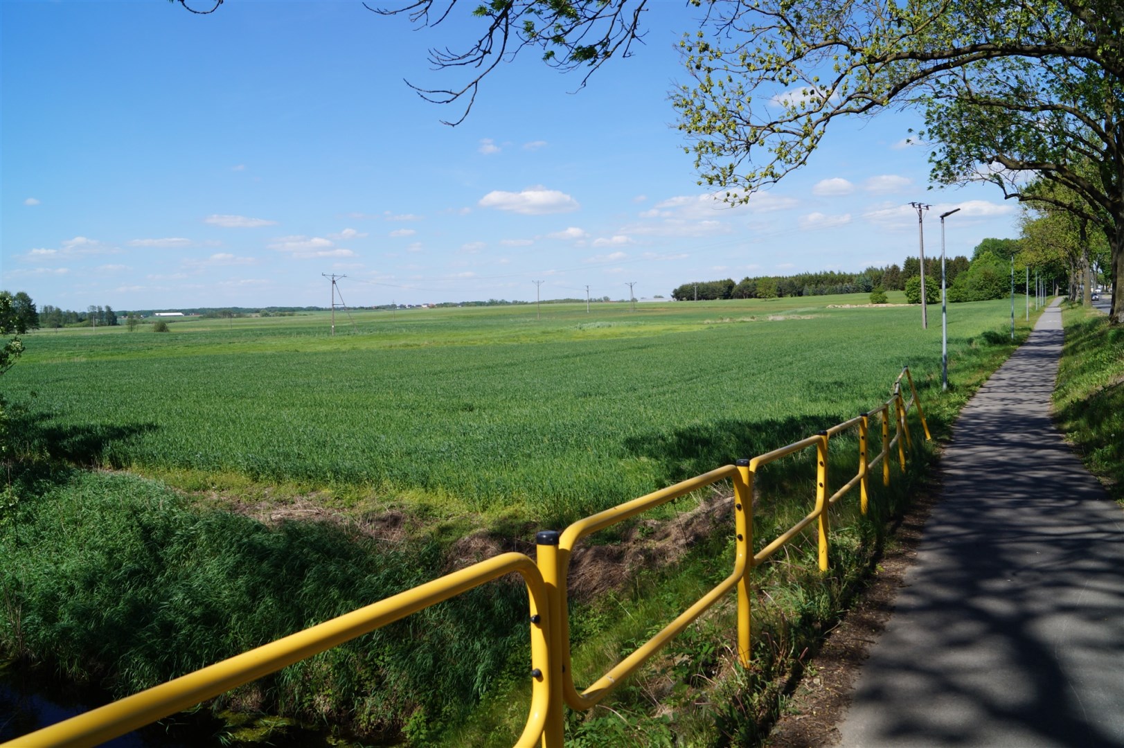 Działka