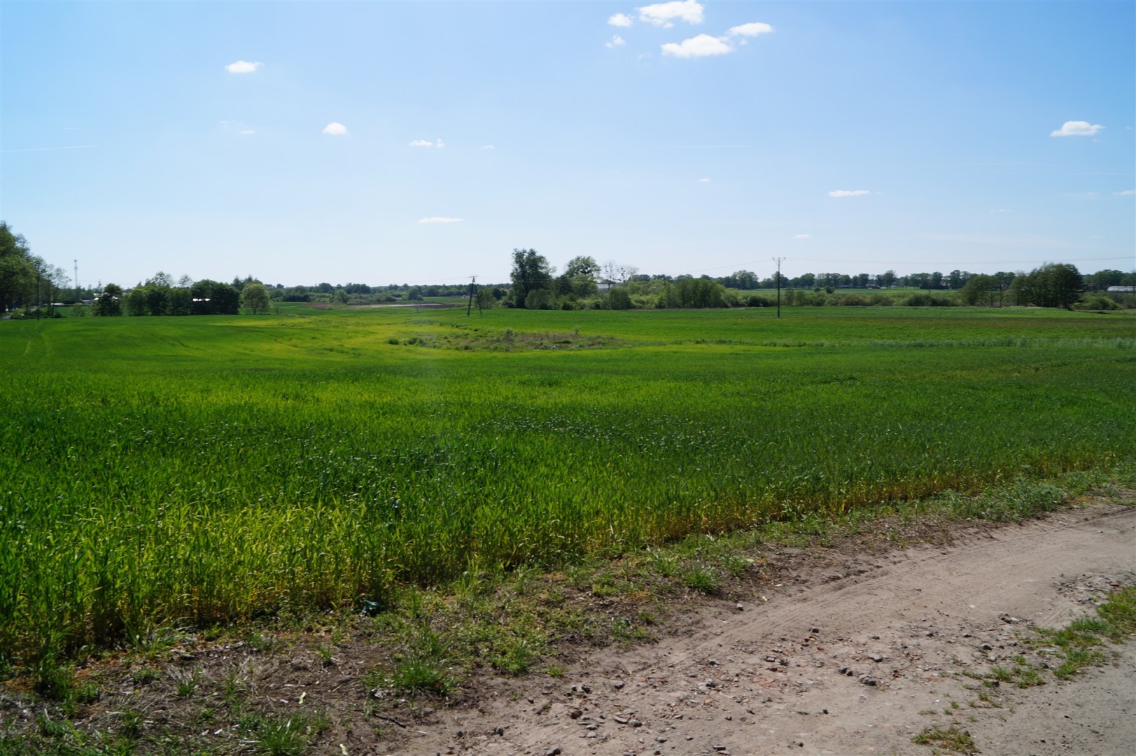 Działka