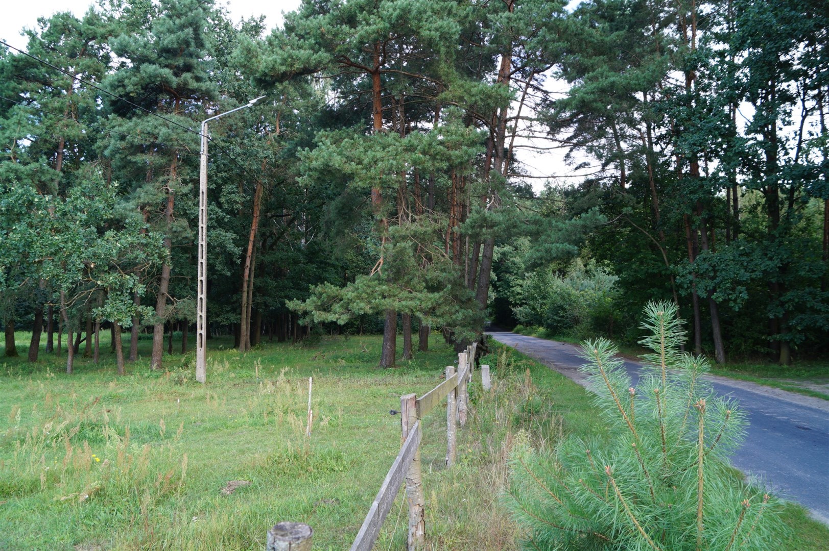 Działka
