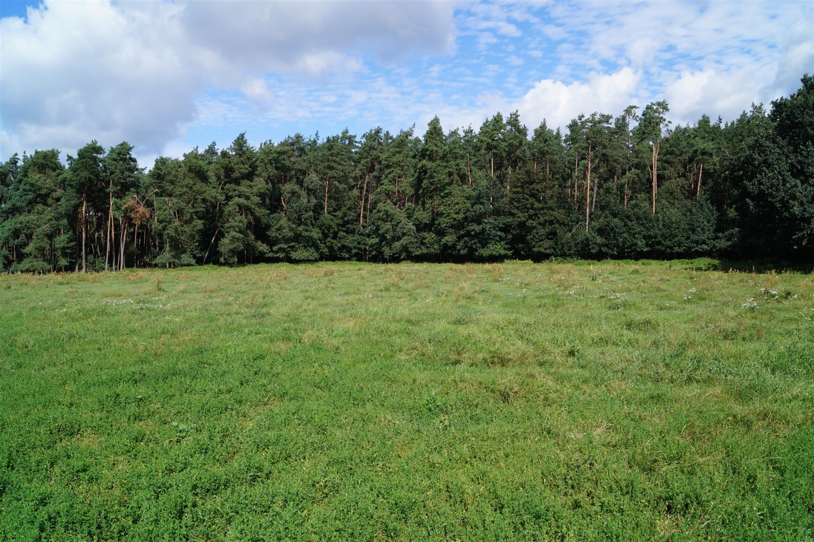 Działka
