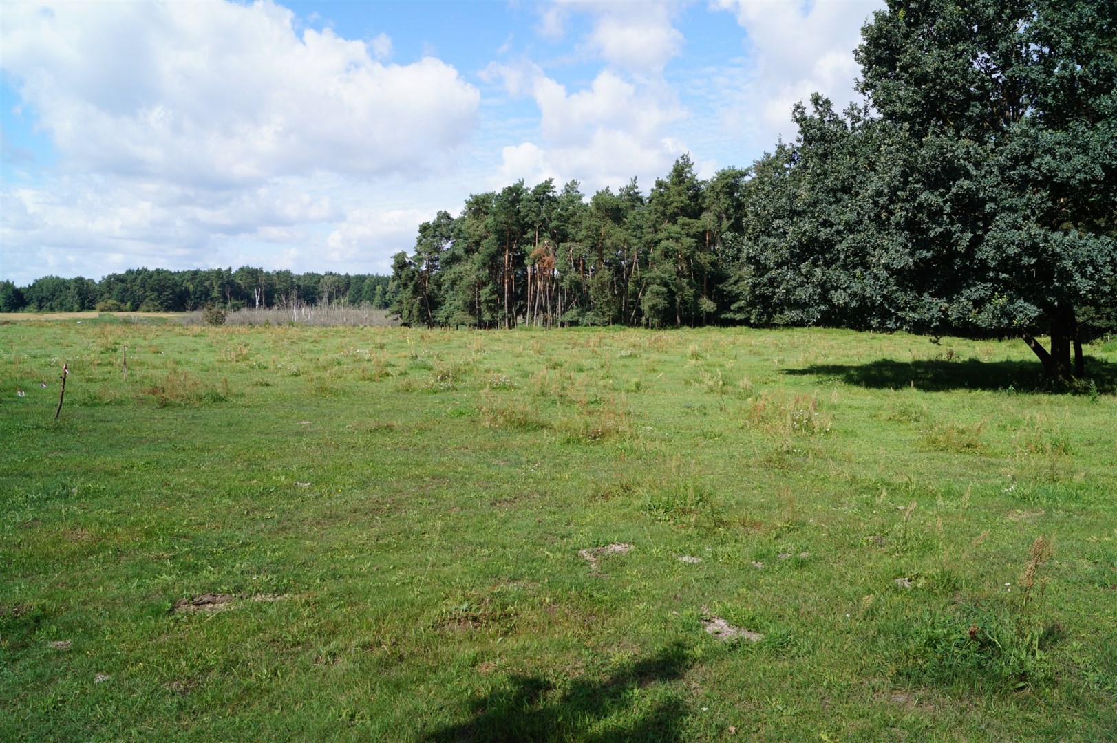 Działka