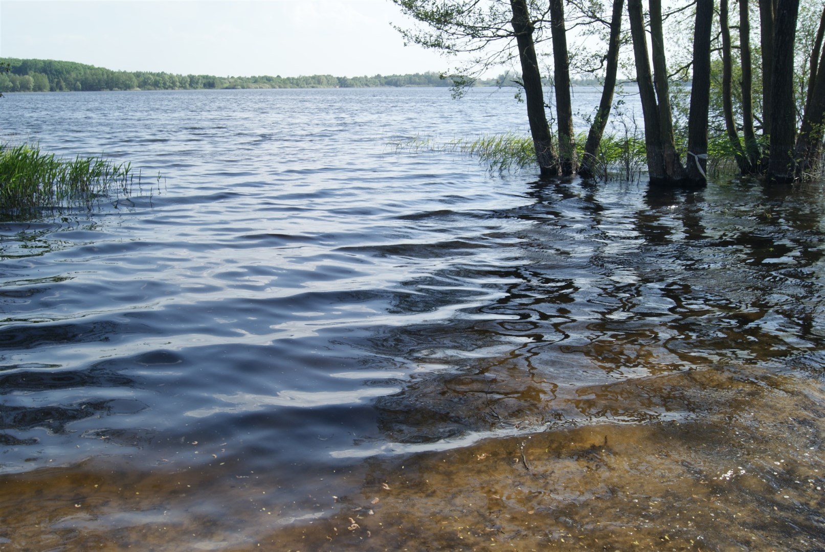 Działka