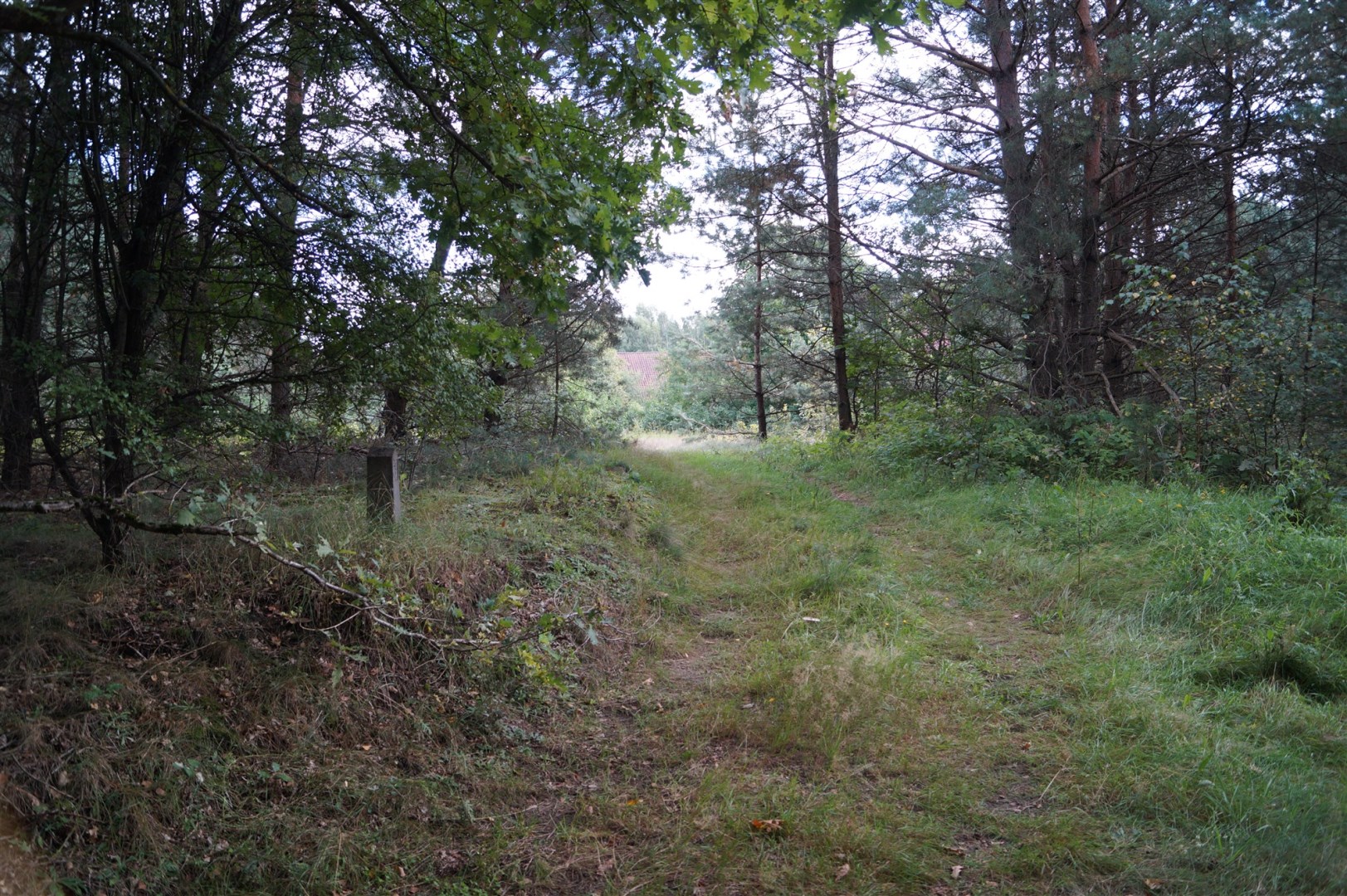Działka