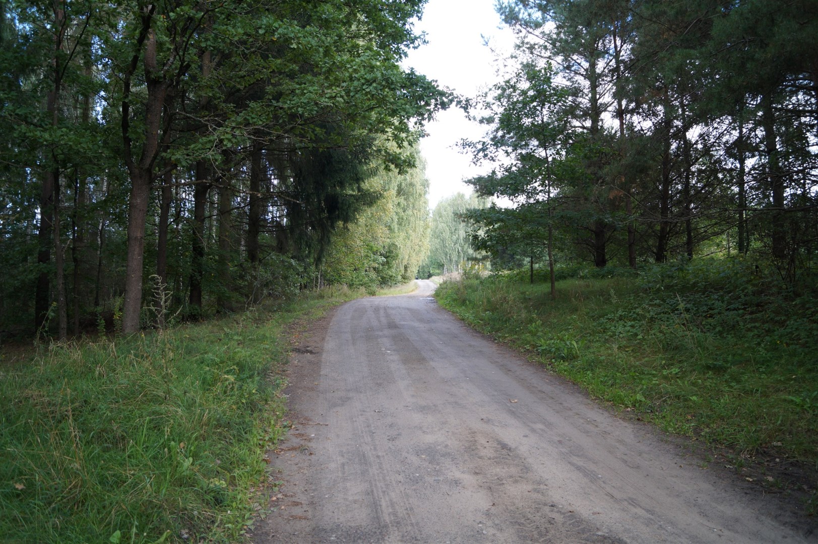 Działka
