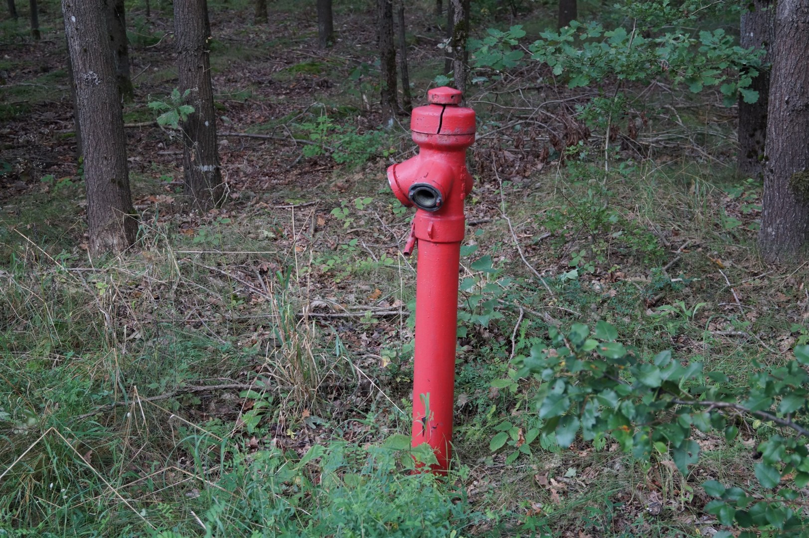 Działka