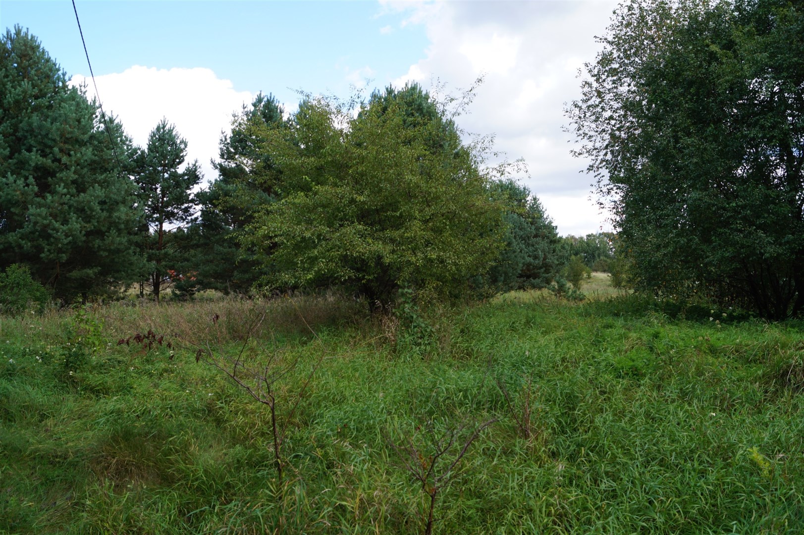 Działka