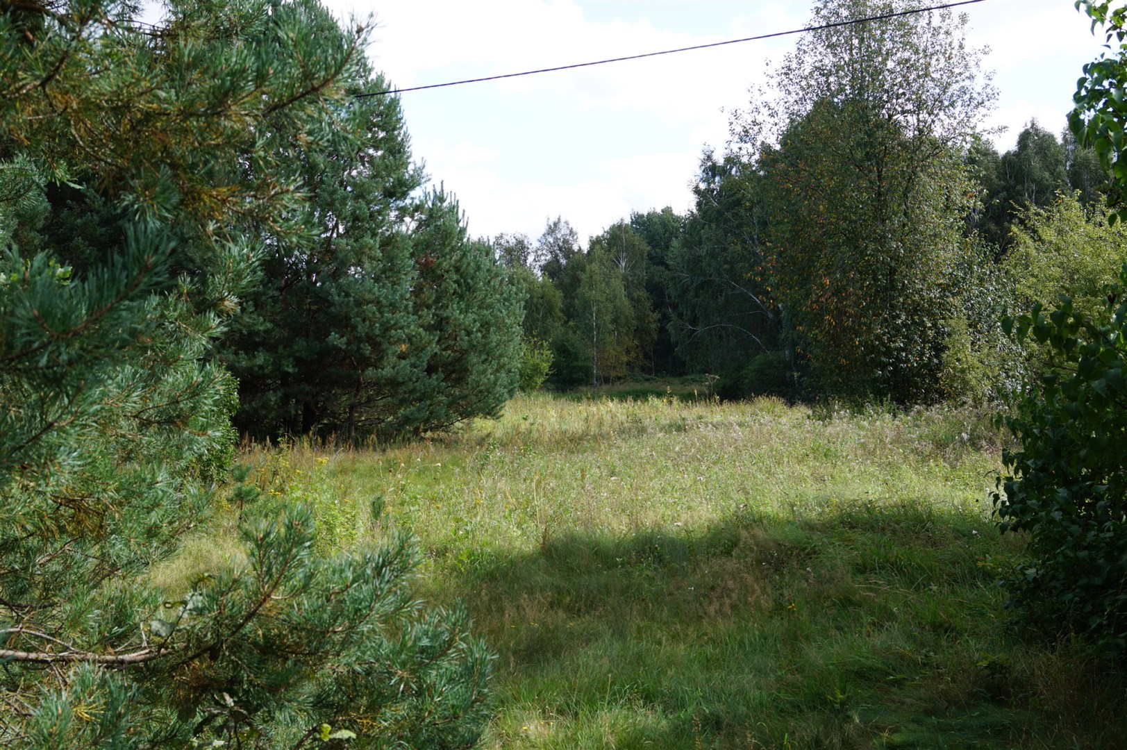 Działka