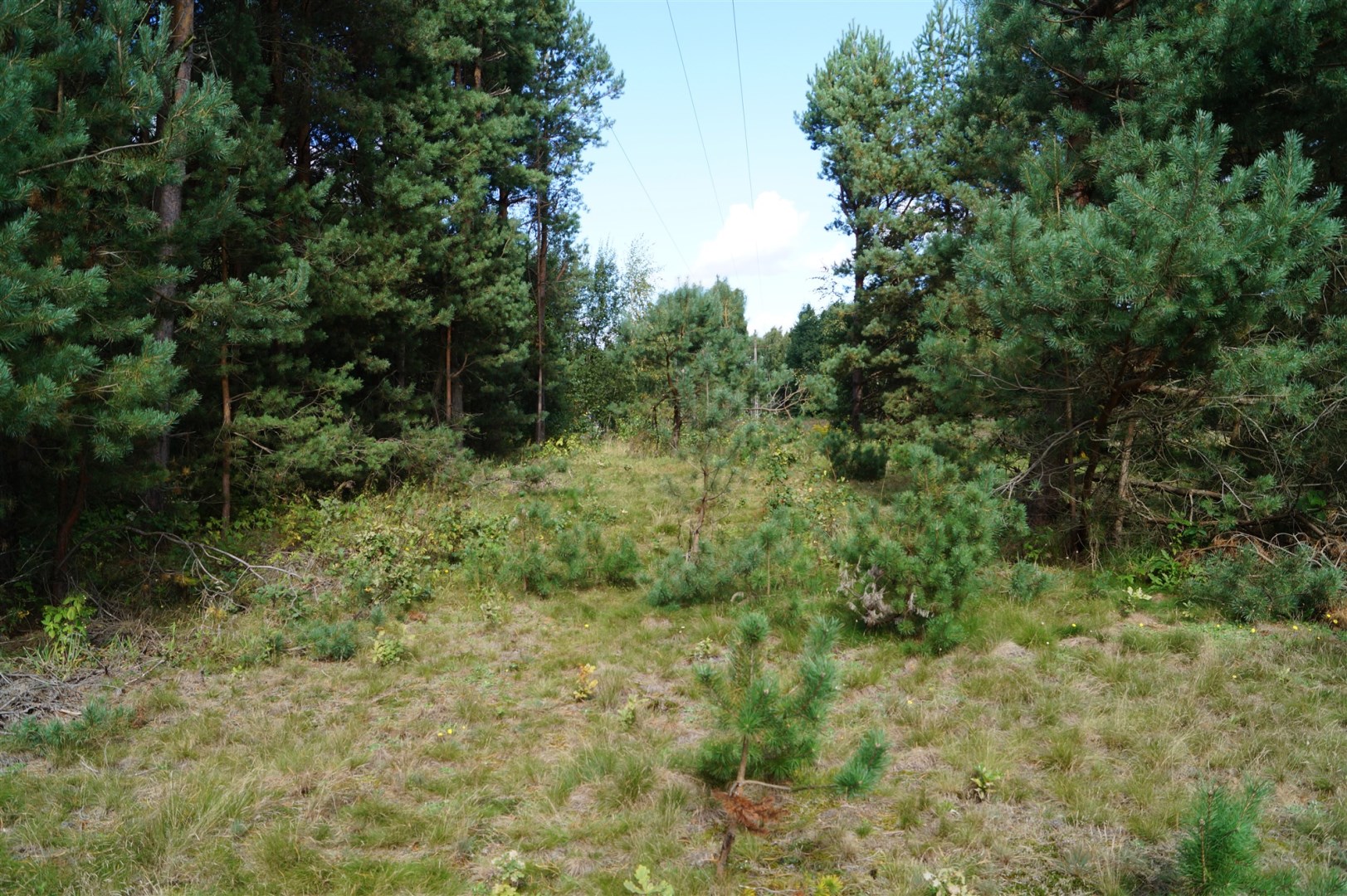 Działka